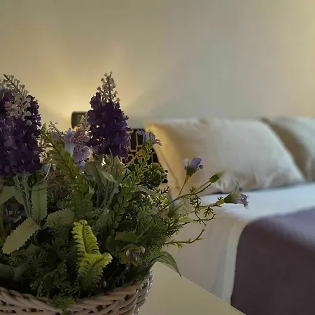 Verona4rent Silvia Apartmán *